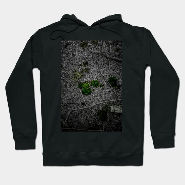 Forest Floor Colour Pop Hoodie by arc1